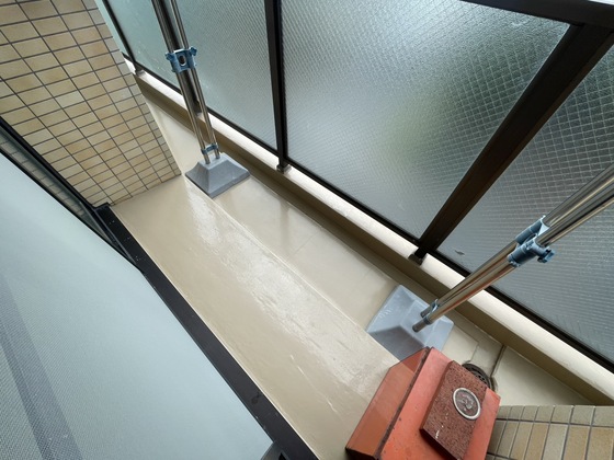 ロイヤルヨシソウ