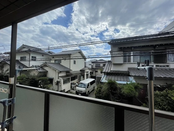 ロイヤルヨシソウ