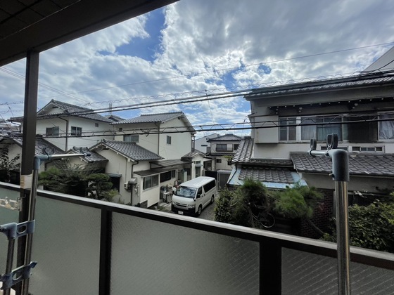 ロイヤルヨシソウ