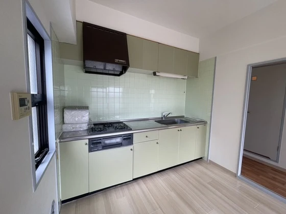 ロイヤルヨシソウ