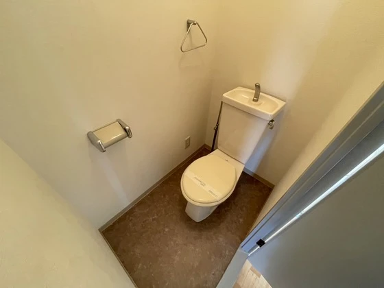 ロイヤルヨシソウ