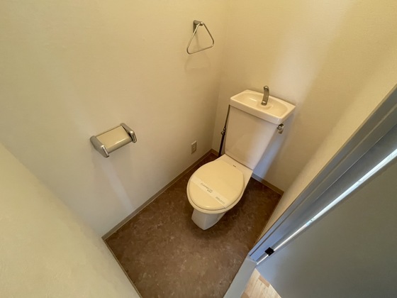 ロイヤルヨシソウ