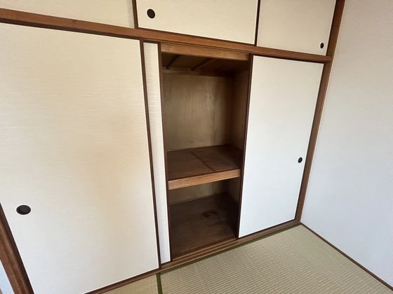 ロイヤルヨシソウ