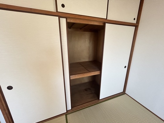 ロイヤルヨシソウ