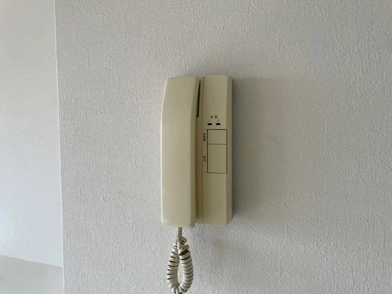 ロイヤルヨシソウ