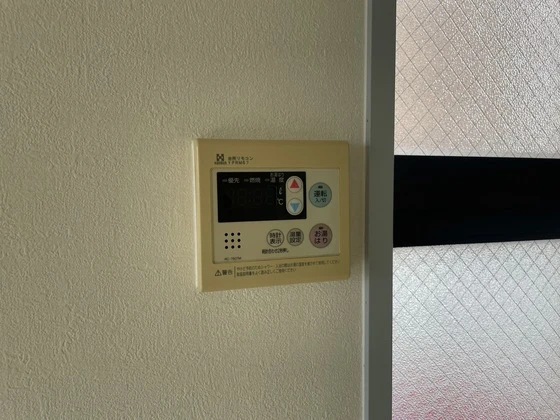 ロイヤルヨシソウ