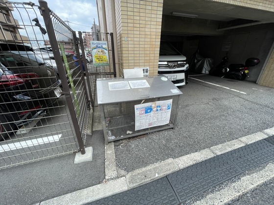 ロイヤルヨシソウ