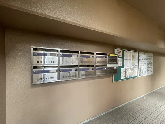 ロイヤルヨシソウ