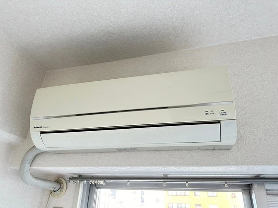 グローバル猫屋