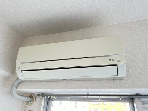 グローバル猫屋