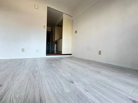 グローバル猫屋