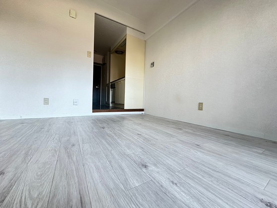 グローバル猫屋