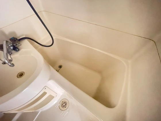 グローバル猫屋