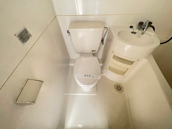 グローバル猫屋