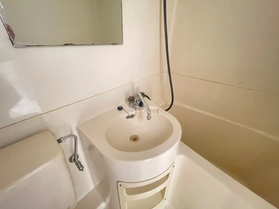 グローバル猫屋