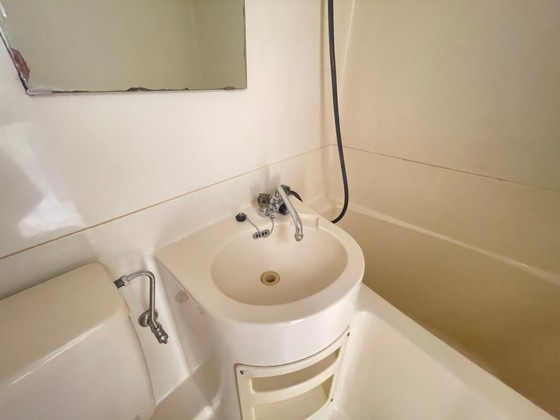 グローバル猫屋