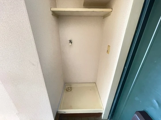 グローバル猫屋