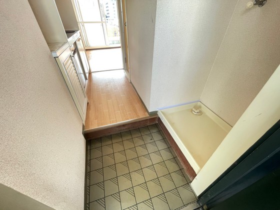 グローバル猫屋