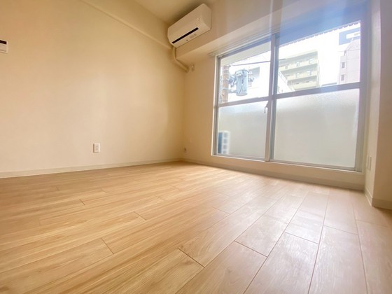 グローバル猫屋