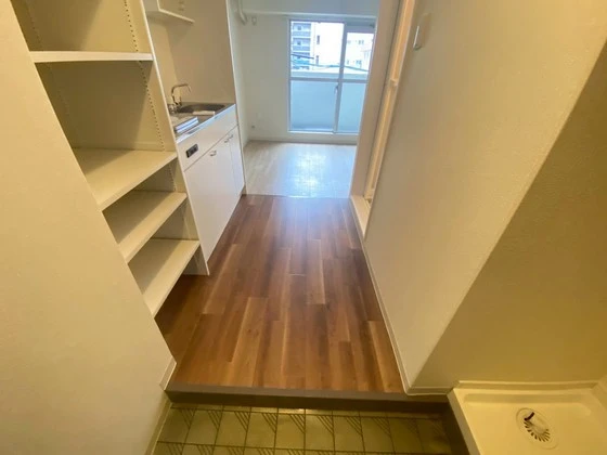 グローバル猫屋