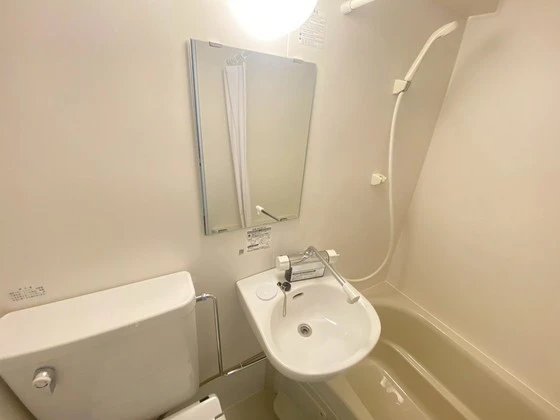 グローバル猫屋