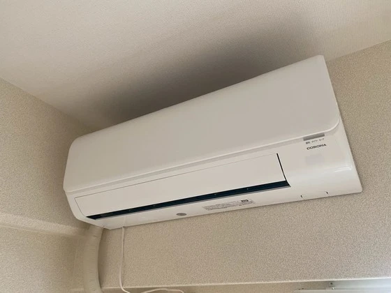 グローバル猫屋