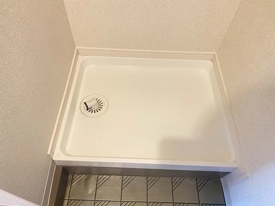 グローバル猫屋