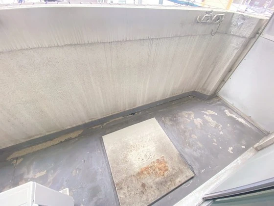 グローバル猫屋