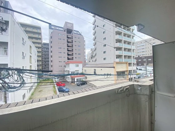 グローバル猫屋