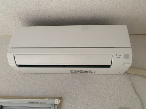 グローバル猫屋