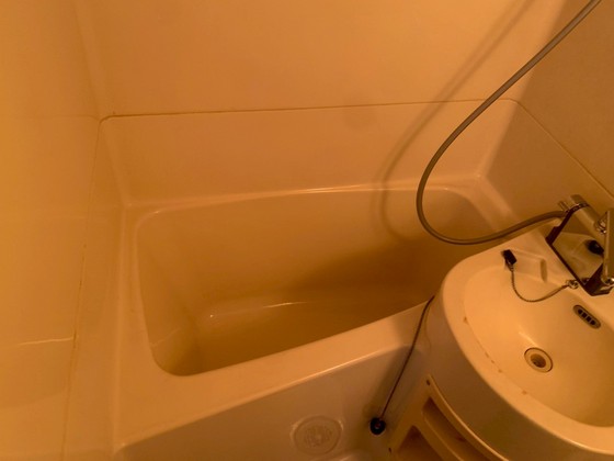 グローバル猫屋