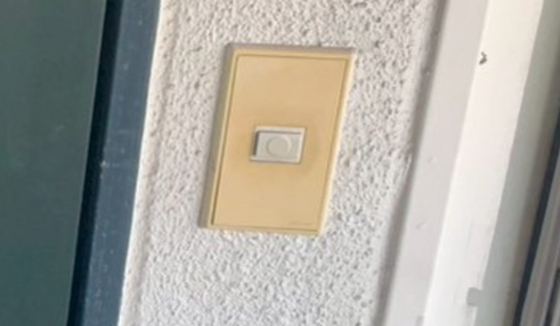 グローバル猫屋