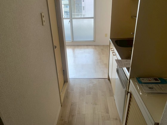 グローバル猫屋