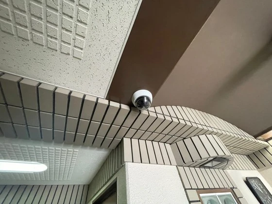 グローバル猫屋