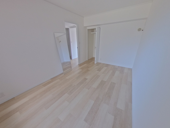 アネックスイシダ