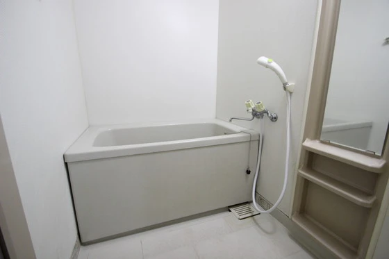 アネックスイシダ