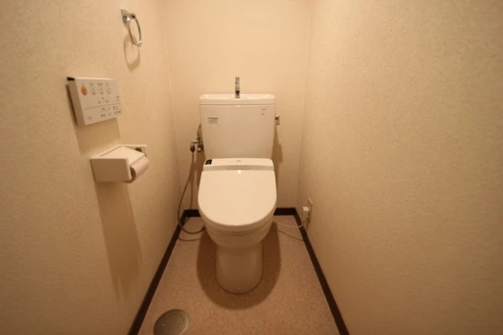 アネックスイシダ