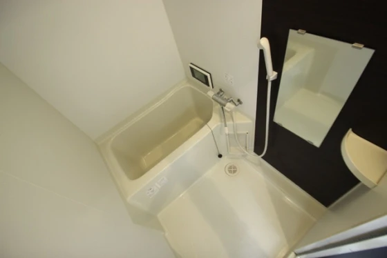 Grandticプラセジュール