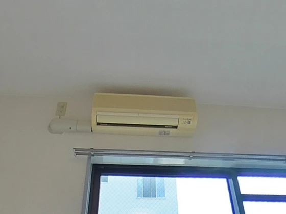 コーディアルグリーン