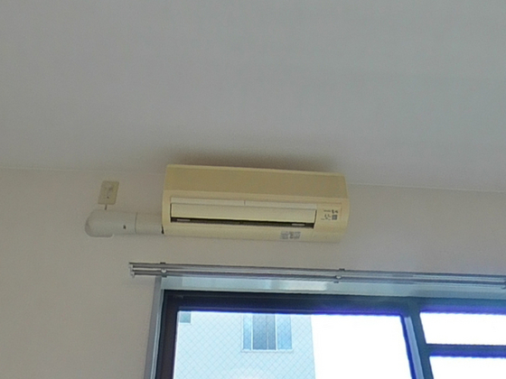 コーディアルグリーン