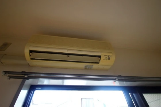 コーディアルグリーン