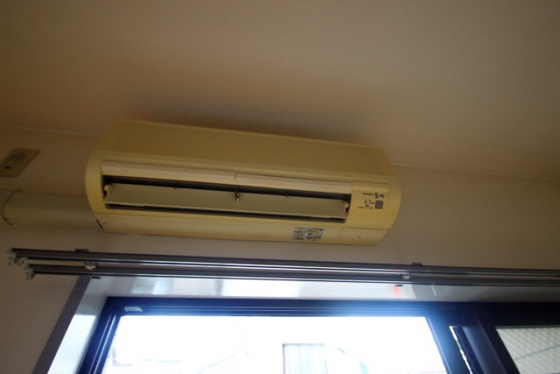 コーディアルグリーン