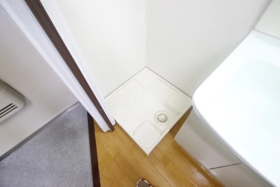 コーディアルグリーン