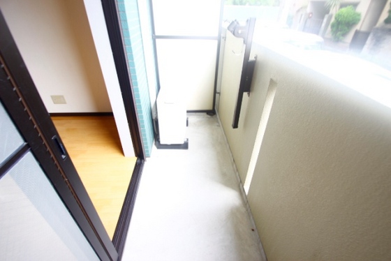 コーディアルグリーン