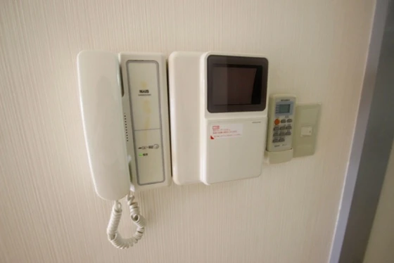 コーディアルグリーン