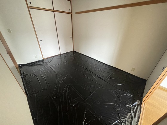 ウィステリア庚午