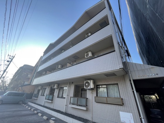 ウィステリア庚午