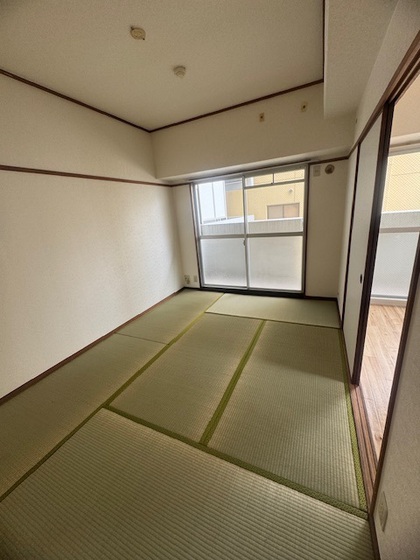 ホワイトシティ国泰寺