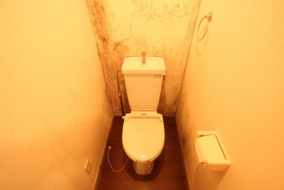 パークリッジMN