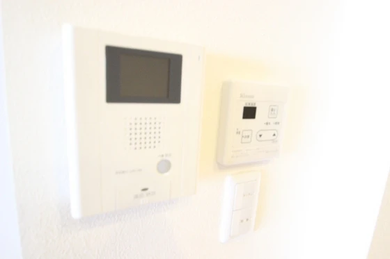 サンセベリア幸